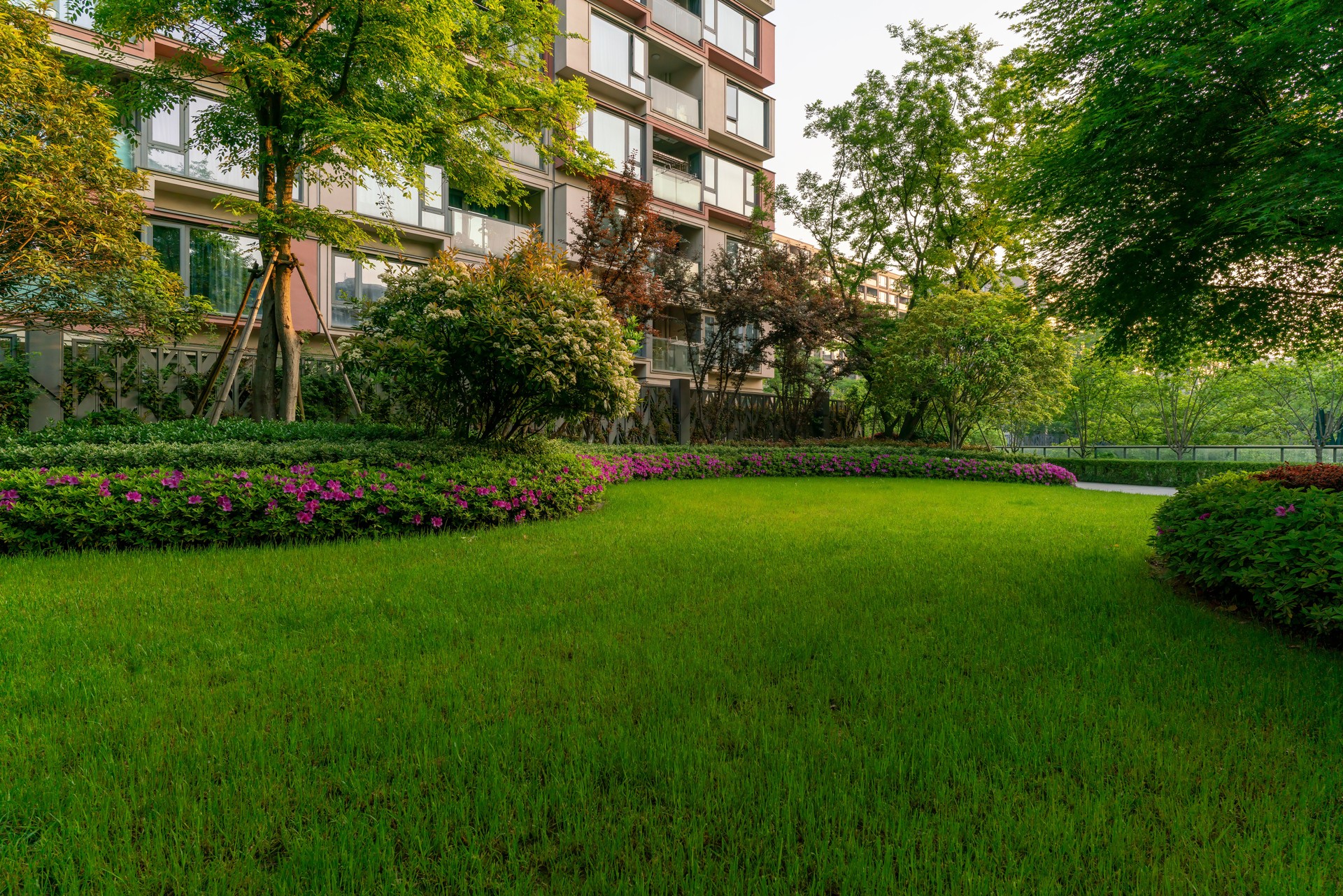 Residential building and front yard lawn